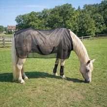 Horse Fly Sheet with UV Protection | Breathable & Adjustable