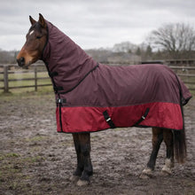 Horse blanket winter | Waterproof, warm & insect-repellent