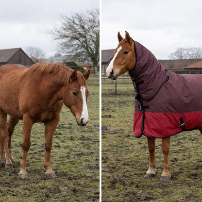 Pferdedecke Winter | Wasserdicht, Warm & Insektenabweisend