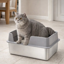Modern Cat Litter Box | Odor-Free & Easy to Clean with High Walls