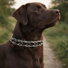 Adjustable Dog Training Collar with Metal Links
