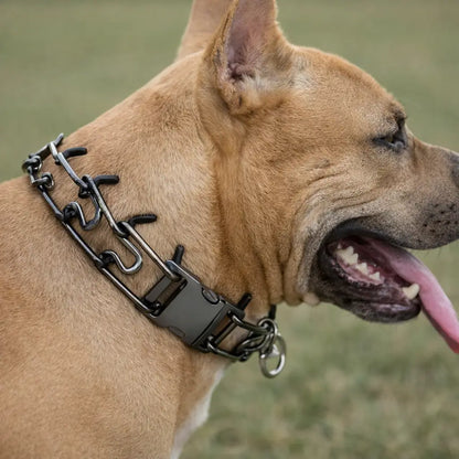 Collier pour chien réglable avec boucles métalliques & picots en caoutchouc