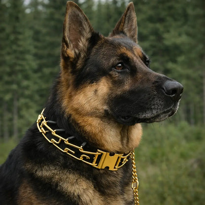 Collier pour chien réglable avec boucles métalliques & picots en caoutchouc