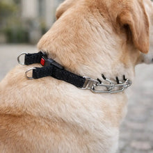 Adjustable Dog Training Collar with Metal Links