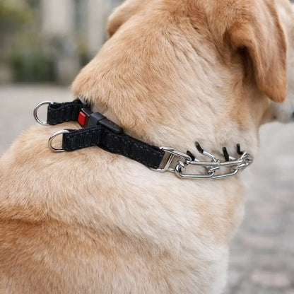 Adjustable Dog Training Collar with Metal Links