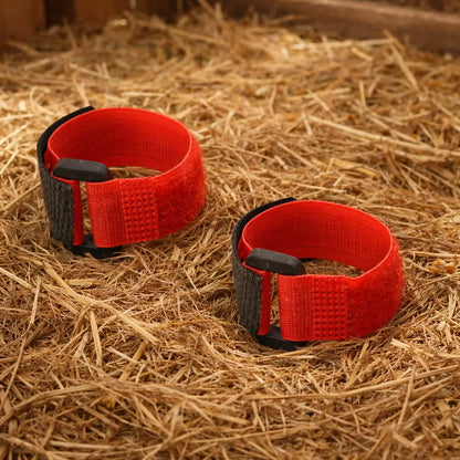 Noise-reducing poultry | Adjustable nylon collar
