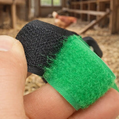 Noise-reducing poultry | Adjustable nylon collar