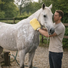 Horse Care Glove | Gentle Application & Stress-Free Coat Care