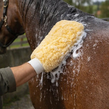 Horse Care Glove | Gentle Application & Stress-Free Coat Care