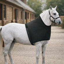 Horse Blanket Protection Vest | Elastic & Friction Protecting