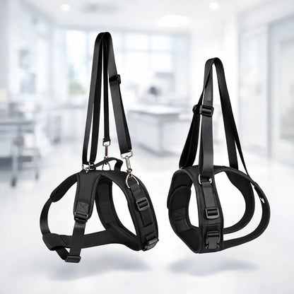 Dog Support Harness | Rehabilitation Harness for Front & Hind Legs