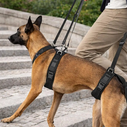 Dog Support Harness | Rehabilitation Harness for Front & Hind Legs