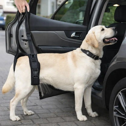 Dog Support Harness | Rehabilitation Harness for Front & Hind Legs