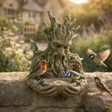 Tree Face Bird Feed Station | Weatherproof & Decorative