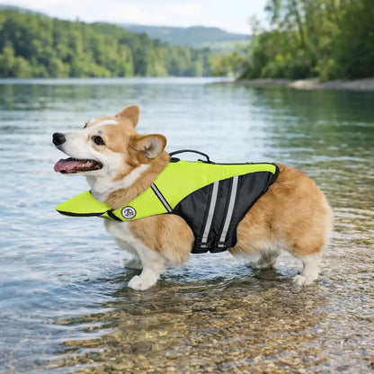 Dog Life Jacket with Handle | Secure Buoyancy & Visibility