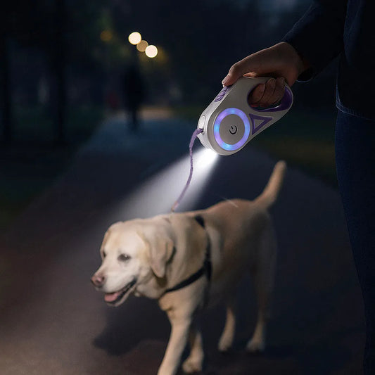 Hundeleine LED Rollleine | sichtbar & sicher bei Nacht