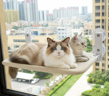 Katzenbett Fenster | Klappbare Fensterliege mit starken Saugnäpfen