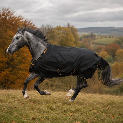 Pferdedecke wasserdicht | Bucas Irish Turnout Light 50g