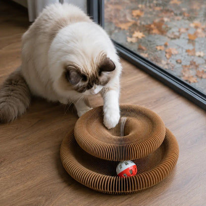 Katzenspielzeug für Katzen | Faltbares Papp-Labyrinth mit Ball