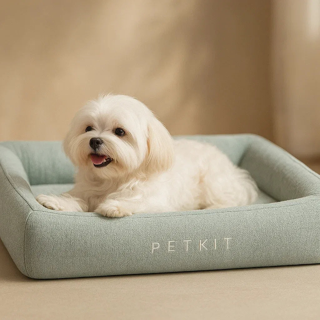 Hundebett mit Memory Foam | Waschbares & Formstabiles Komfortbett
