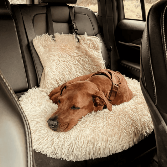 RideBuddy – Der Premium-Autositz für entspannte Hundereisen