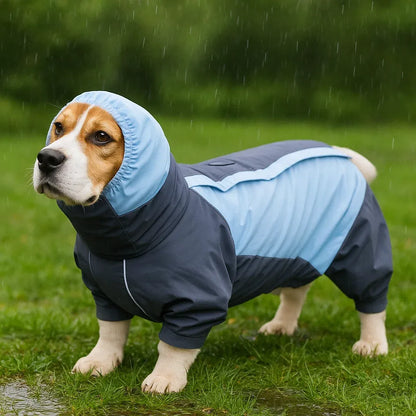 Wasserdichter Hundemantel | Wetterschutz für Kurzbeinige Hunde