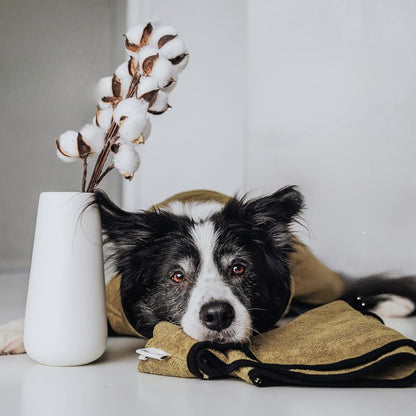 TrockenBuddy – Der super saugfähige Hunde-Bademantel aus Frottee-Baumwolle