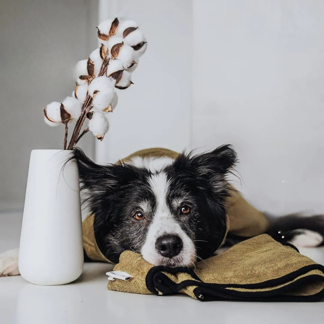 Hunde Bademantel aus Frottee-Baumwolle | Saugstark & waschbar