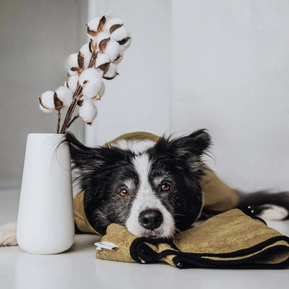 Hunde Bademantel aus Frottee-Baumwolle | Saugstark & waschbar