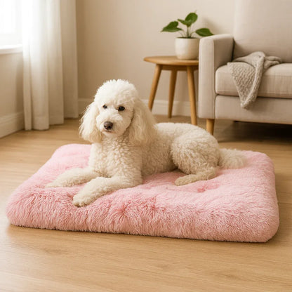 Hundebett | Weiches & Waschbares Kuschelbett für Ruhigen Schlaf