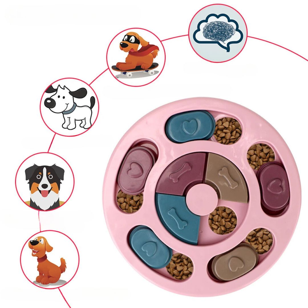 SnackPilot – Der interaktive Futterspender für neugierige Hunde