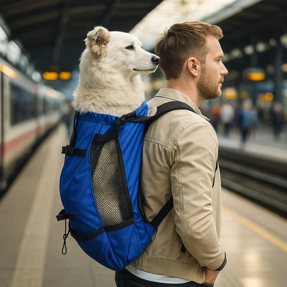 Hundetragetasche | Ergonomischer & Bequemer Rucksack für Unterwegs