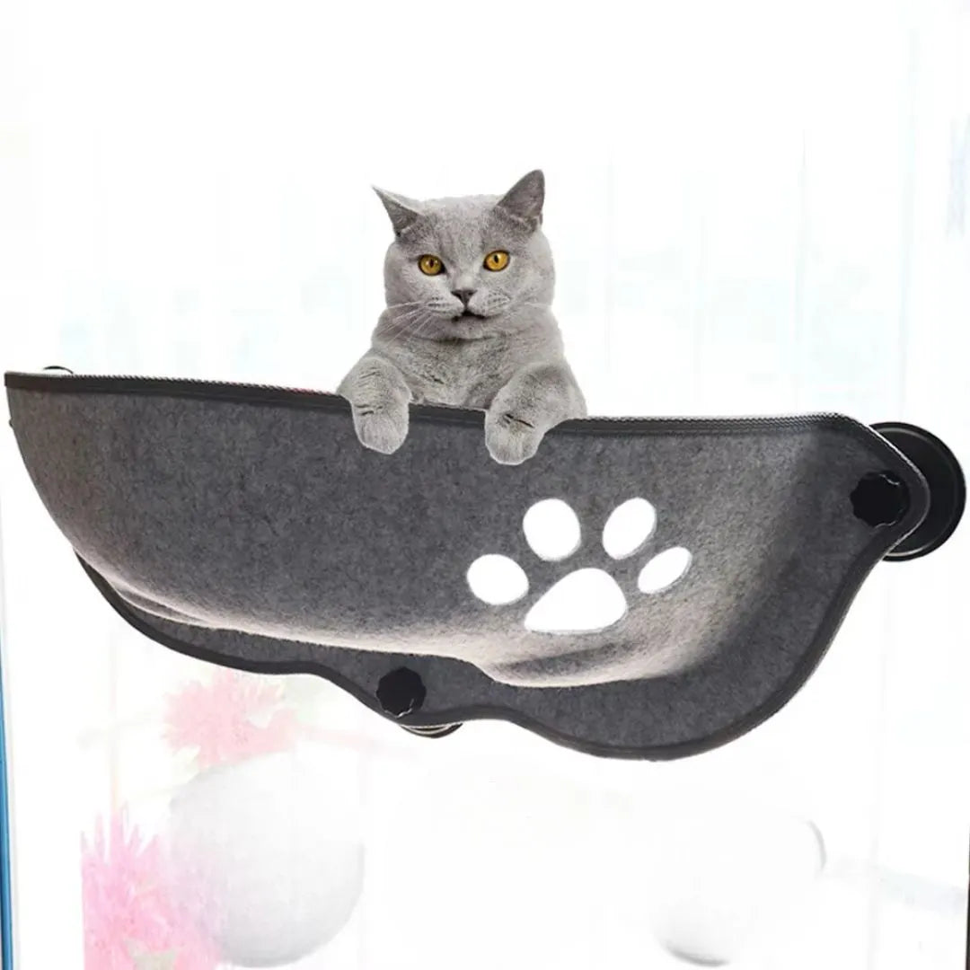 Fenster Hängematte für Katzen | Stabil & platzsparend
