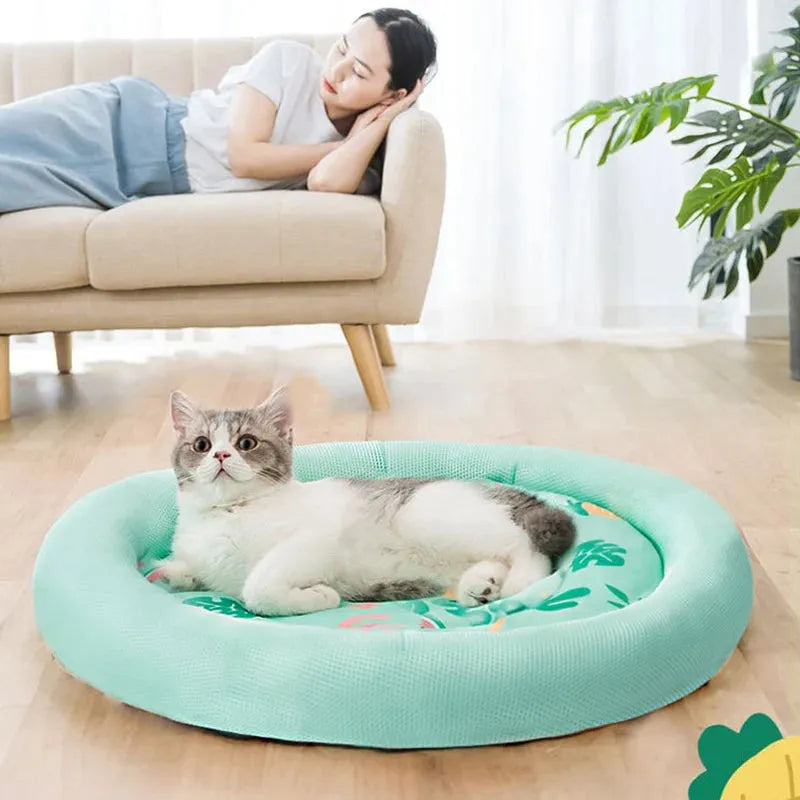 CoolPaws – Atmungsaktive Kühlmatte für Haustiere