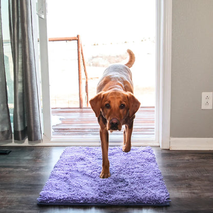 HomePaws – Sauberkeit für dein Zuhause mit jeder Pfote