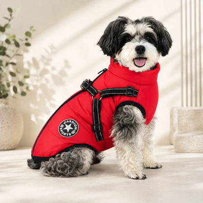 Wasserdichter Hundemantel mit Geschirr für kleine & mittlere Hunde