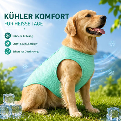 Kühlweste für Hunde & Katzen | Atmungsaktive Kühlweste für den Sommer