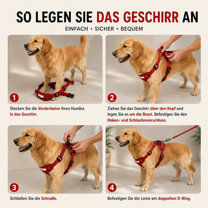 Hundegeschirr mit Leine | verstellbar, leicht & sicher