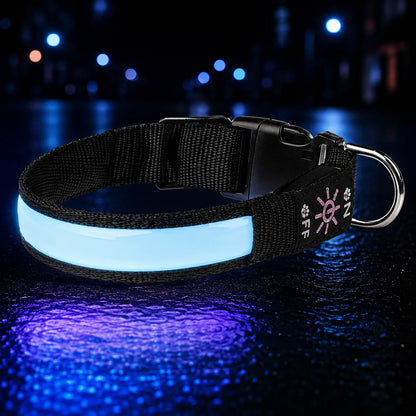 LED Hundehalsband USB Wiederaufladbar Leuchtend Verstellbar