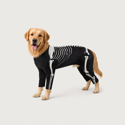 Halloween Partnerlook Set | Skelett Kostüm für Hund & Mensch
