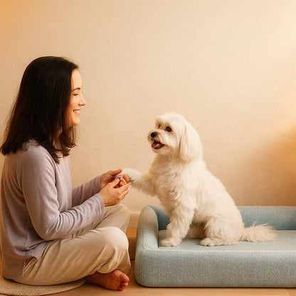 Hundebett mit Memory Foam | Waschbares & Formstabiles Komfortbett