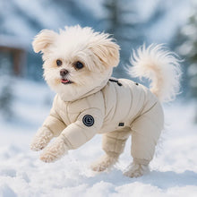Winter Hundemantel mit Kapuze | Warmer Mantel für Kleine Hunde
