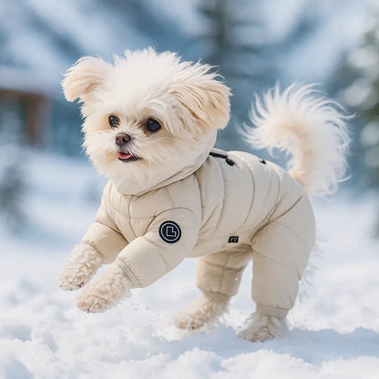Winter Hundemantel mit Kapuze | Warmer Mantel für Kleine Hunde