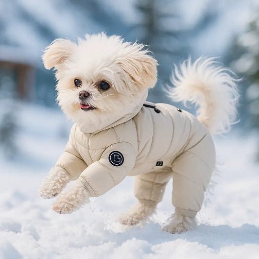 Winter Hundemantel mit Kapuze | Warmer Mantel für Kleine Hunde