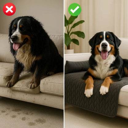 Hundebett mit Sofabezug | wasserfest & waschbar mit gemütlichem Rand