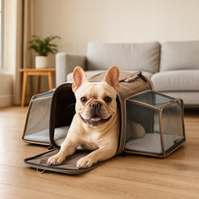 Dog carrier bag with wheels | foldable & ventilated travel bag