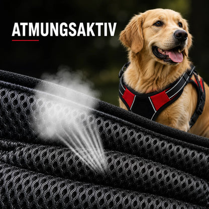 Reflektierendes Hundegeschirr mit Griff | Atmungsaktiv, Verstellbar & Gepolstert