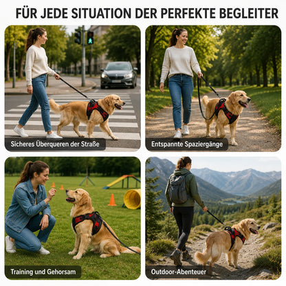 Reflektierendes Hundegeschirr mit Griff | Atmungsaktiv, Verstellbar & Gepolstert