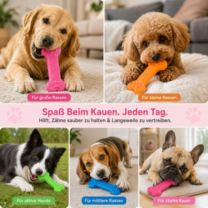 Extrem robuster Gummiknochen für Hunde – unzerstörbar & zahnfreundlich