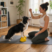 Balance Pod for Dogs Yoga & Doga | non-slip & stable